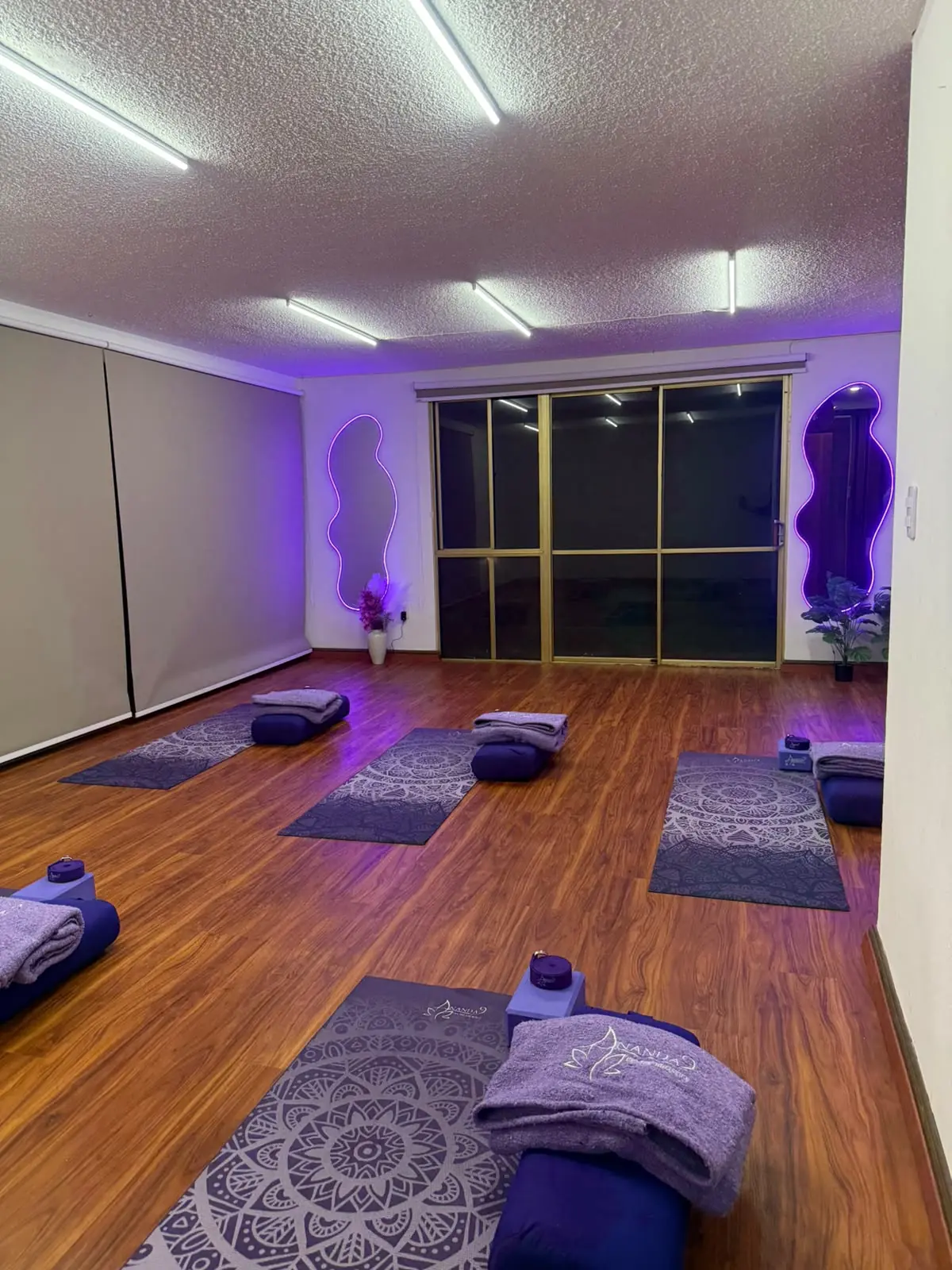Clases de Yoga en Ananda 9